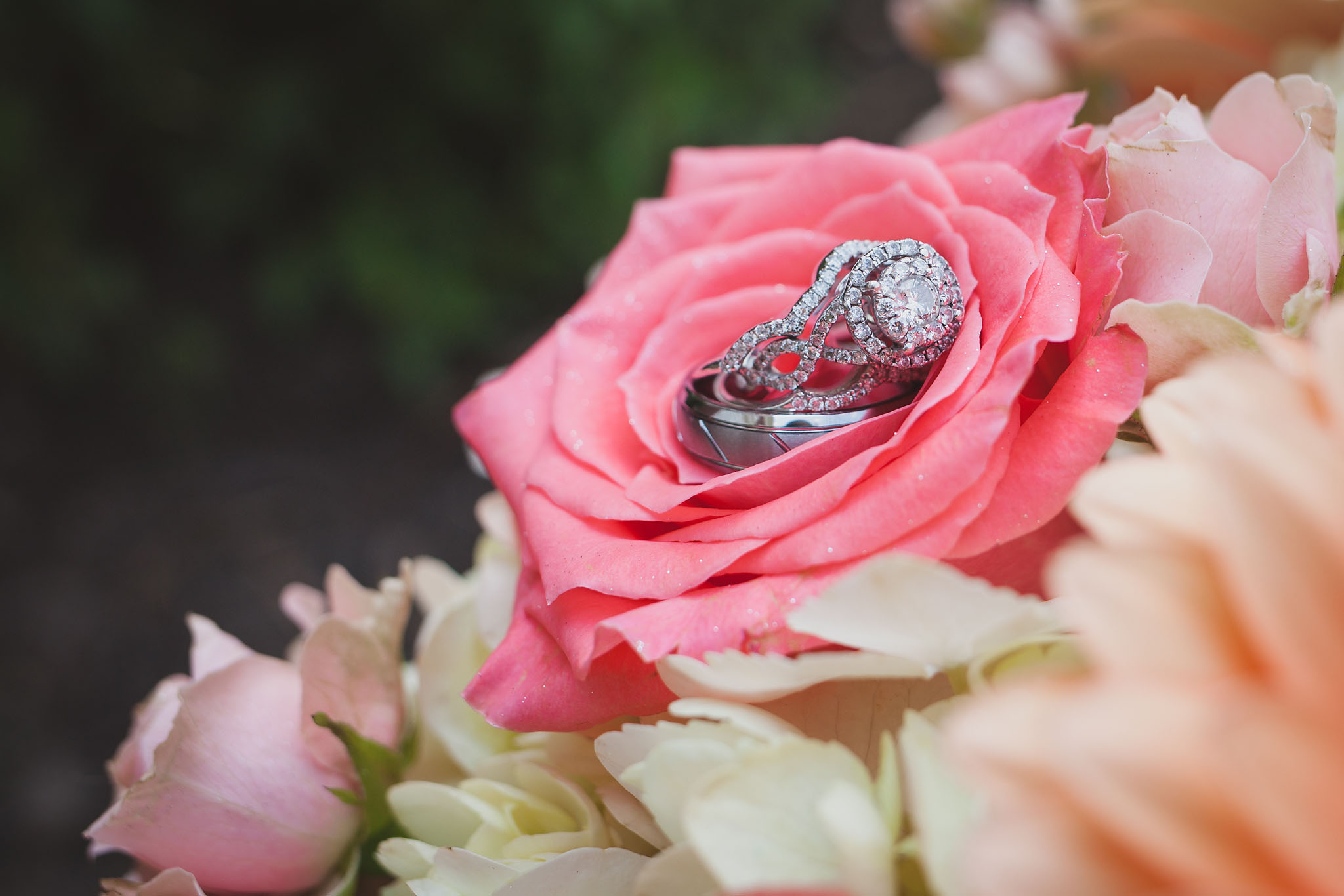 Stephen and Sarah Wedding Day | Wedding Photographer in Zoar Ohio