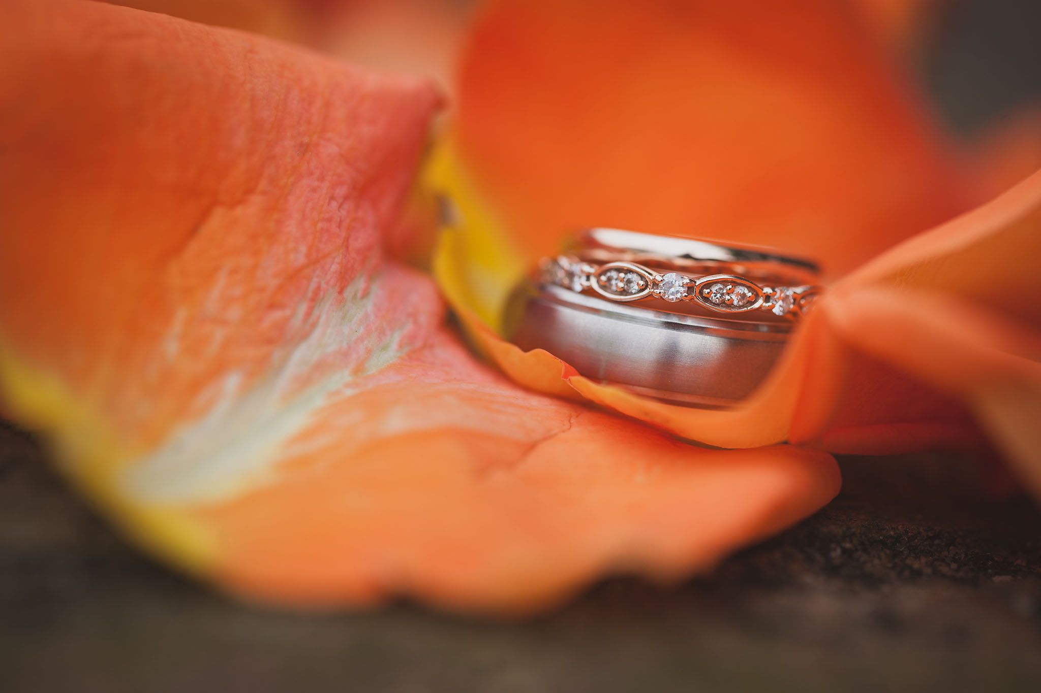 Colby and Kari Wedding | Wedding and Engagement Photographer in Walnut Creek Ohio